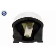 Suspension, boîte automatique VAICO V30-4257 - Visuel 3
