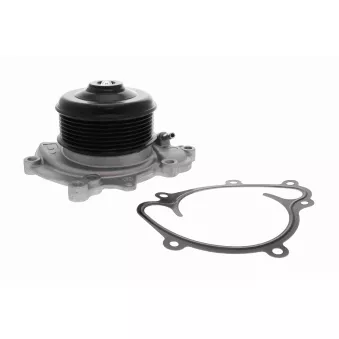 Pompe à eau, refroidissement du moteur VAICO V30-50102