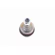 Rotule de suspension VAICO V30-7114-1 - Visuel 1