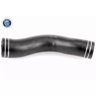 Gaine de suralimentation VAICO V38-0297