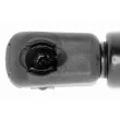 Vérin, capot-moteur VAICO V40-0598 - Visuel 2