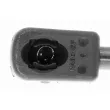 Vérin, capot-moteur VAICO V40-0621 - Visuel 2