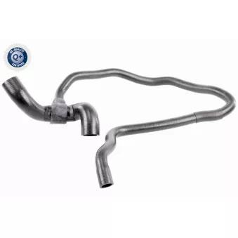 Durite de radiateur VAICO V40-1164