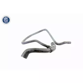Durite de radiateur VAICO V40-1346