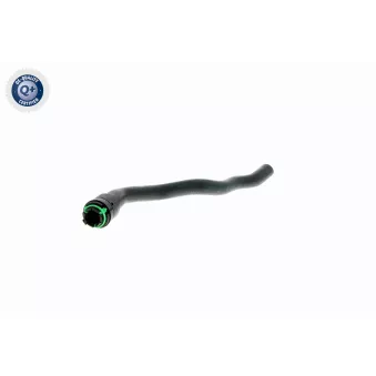 Durite de radiateur VAICO V40-1352