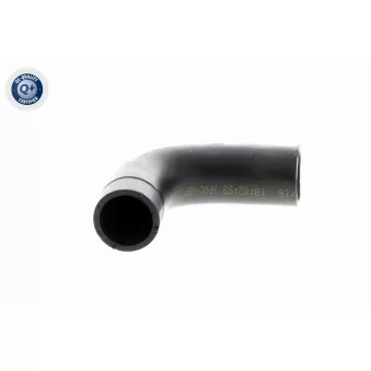 Tuyau, ventilation de carter-moteur VAICO V40-1370