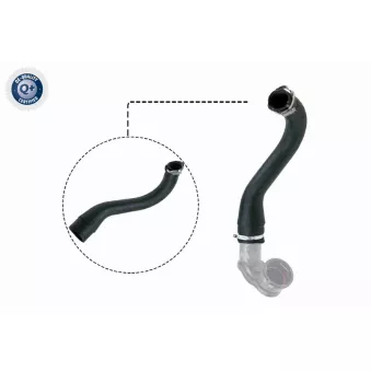 Gaine de suralimentation VAICO V40-1498