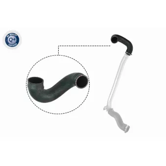 Gaine de suralimentation VAICO V40-1512