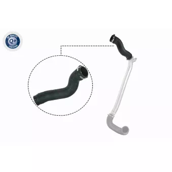 Gaine de suralimentation VAICO V40-1513