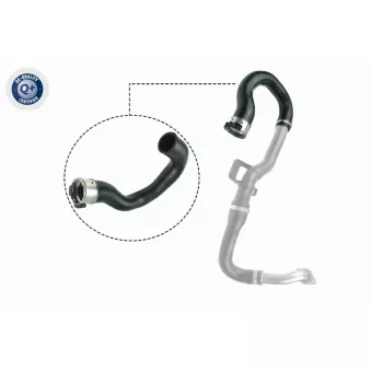 Gaine de suralimentation VAICO V40-1516