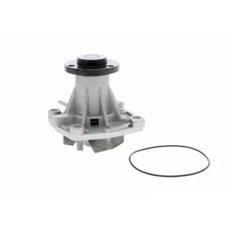 Pompe à eau VAICO V40-50054