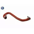 Gaine de suralimentation VAICO V41-0002 - Visuel 1