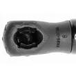 Vérin, capot-moteur VAICO V41-0007 - Visuel 2