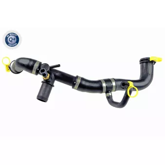 Durite de radiateur VAICO V41-0036