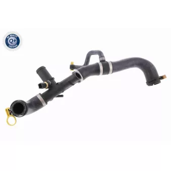 Durite de radiateur VAICO V41-0037