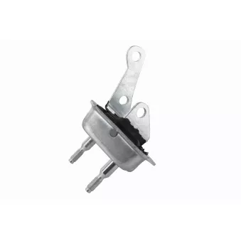 Suspension, corps de l'essieu arrière gauche VAICO V42-0137