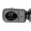 Vérin, vitre arrière VAICO V42-0337 - Visuel 2