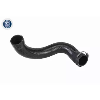 Gaine de suralimentation VAICO V42-0573