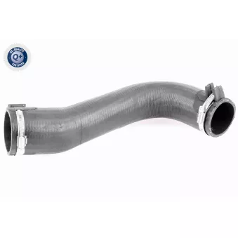 Gaine de suralimentation VAICO V42-0584