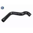 Gaine de suralimentation VAICO V42-0588 - Visuel 1