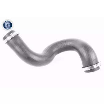 Gaine de suralimentation VAICO V42-0590