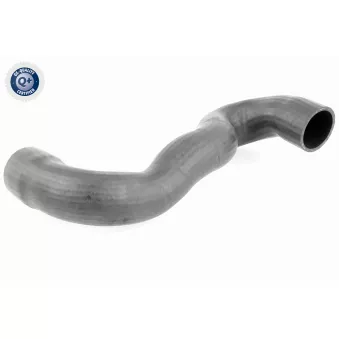 Gaine de suralimentation VAICO V42-0599