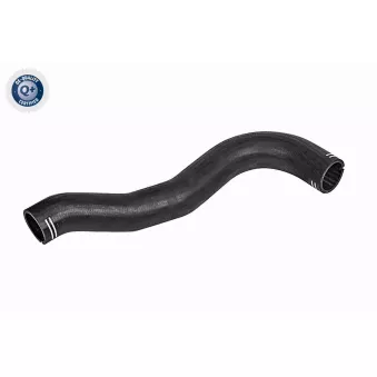 Gaine de suralimentation VAICO V42-0608