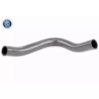 Gaine de suralimentation VAICO V42-0609