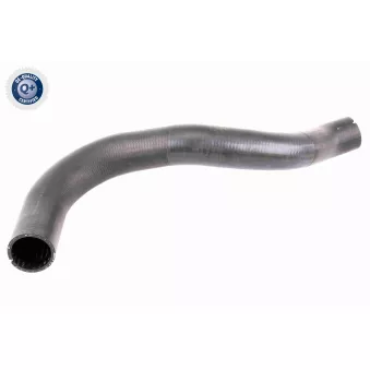 Gaine de suralimentation VAICO V42-0610