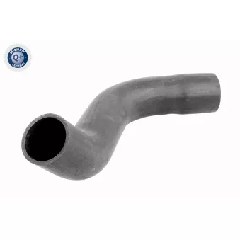 Gaine de suralimentation VAICO V42-0621