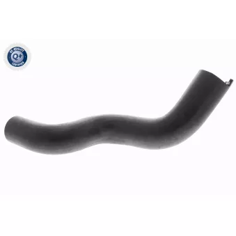 Durite de radiateur VAICO V42-0637