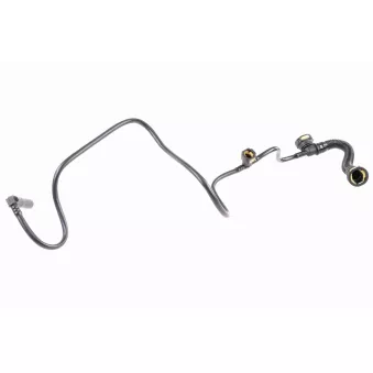 Tuyau, ventilation de carter-moteur VAICO V42-0800