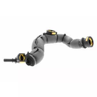 Tuyau, ventilation de carter-moteur VAICO V42-0856