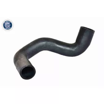 Gaine de suralimentation VAICO V42-1019
