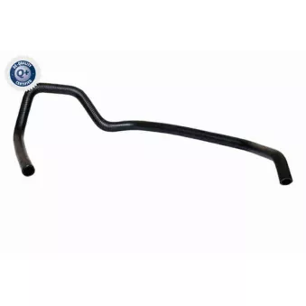 Durite de radiateur VAICO V42-1021