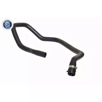 Durite de radiateur VAICO V42-1022