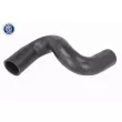 Durite de radiateur VAICO V42-1031 - Visuel 1