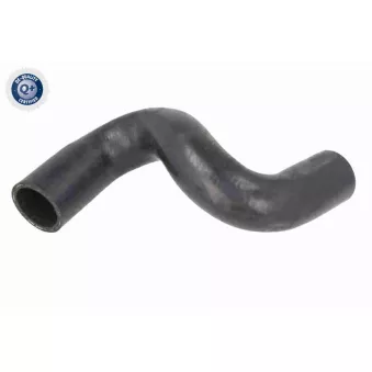 Durite de radiateur VAICO V42-1031