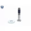 Kit de poulies, vilebrequin VAICO V42-9523 - Visuel 2