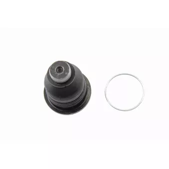 Rotule de suspension VAICO V46-0552