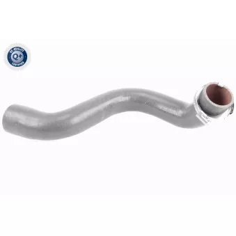 Gaine de suralimentation VAICO V46-0823