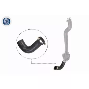 Gaine de suralimentation VAICO V46-0828
