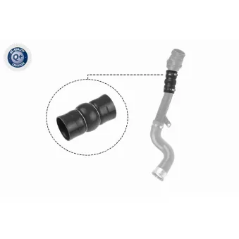 Gaine de suralimentation VAICO V46-0831