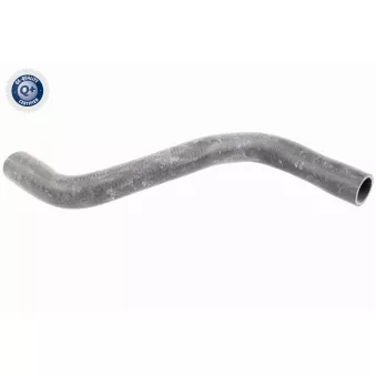 Durite de radiateur VAICO V46-0911