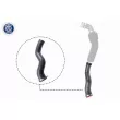 Gaine de suralimentation VAICO V46-1032 - Visuel 1