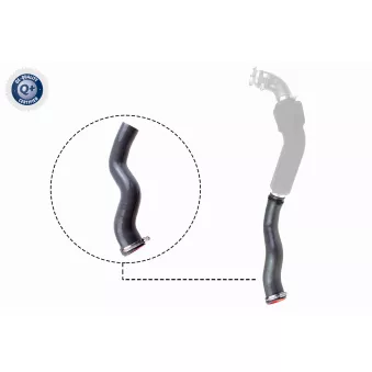 Gaine de suralimentation VAICO V46-1032