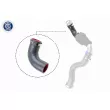 Gaine de suralimentation VAICO V46-1035 - Visuel 1