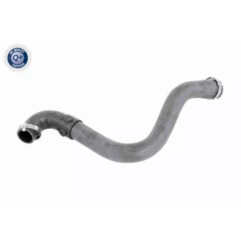 Gaine de suralimentation VAICO V46-1234
