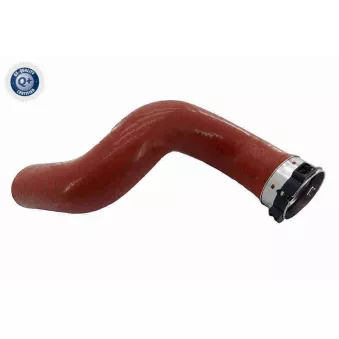 Gaine de suralimentation VAICO V46-1396