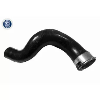 Gaine de suralimentation VAICO V46-1398